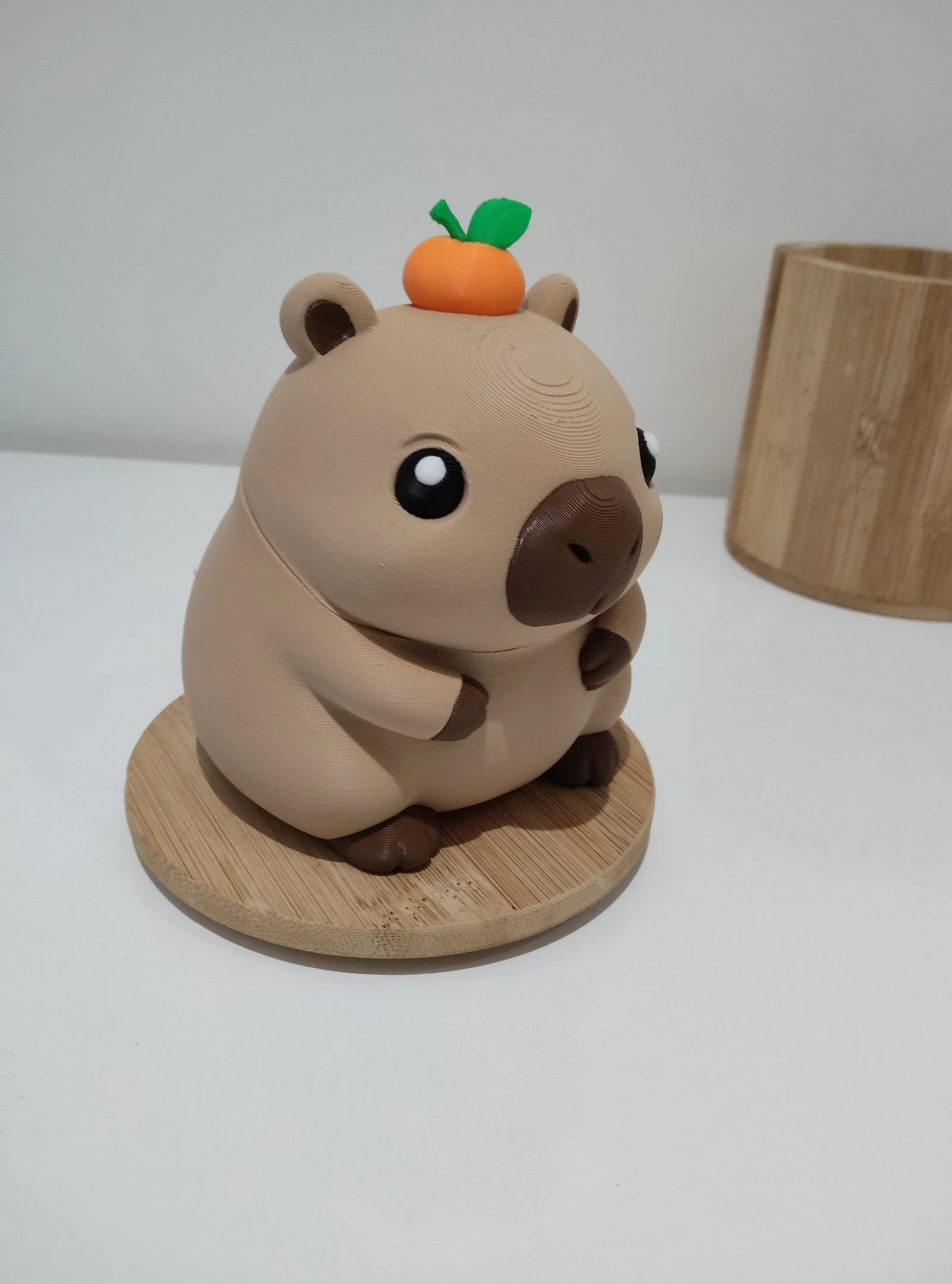 Capybara – photo 3